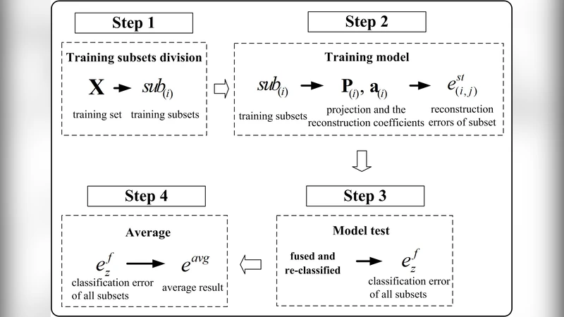 Robust Classification with Sparse Representation Fusion on Diverse Data   Subsets