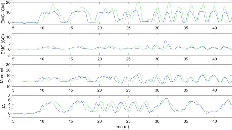 Estimation of Absolute States of Human Skeletal Muscle via Standard   B-Mode Ultrasound Imaging and Deep Convolutional Neural Networks
