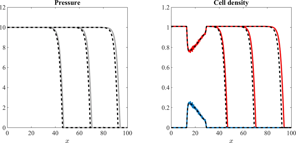 Bridging the gap between individual-based and continuum models of   growing cell populations