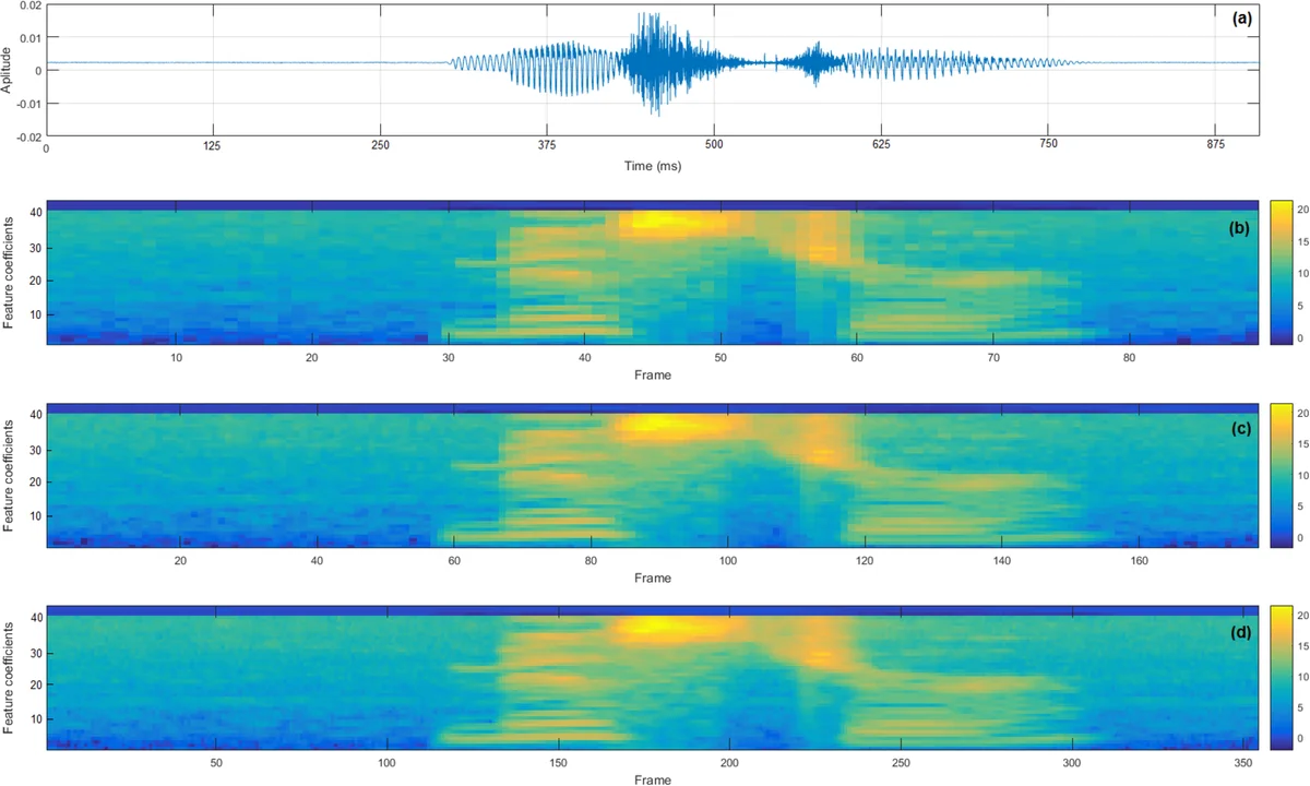 Homophily and missing links in citation networks