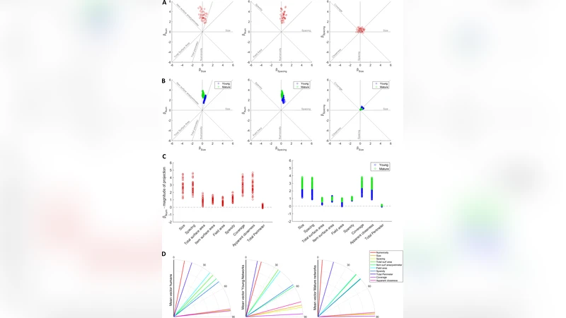 Perception of visual numerosity in humans and machines