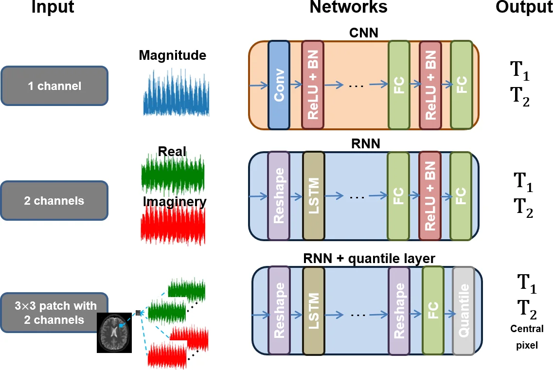 RinQ Fingerprinting: Recurrence-informed Quantile Networks for Magnetic   Resonance Fingerprinting