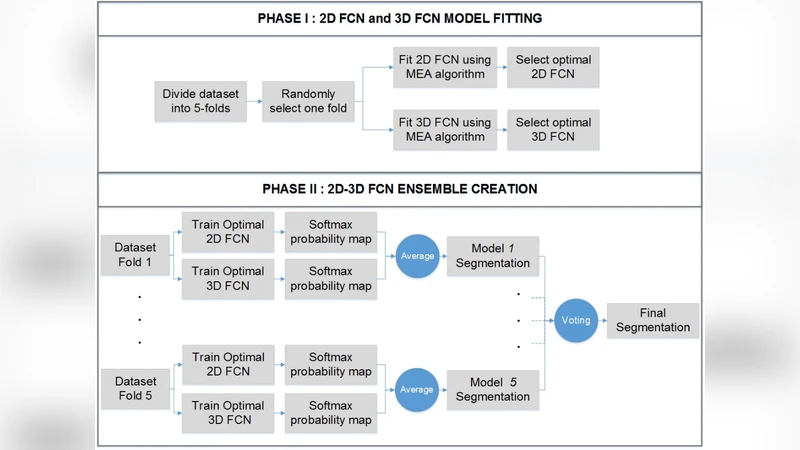 Self-Adaptive 2D-3D Ensemble of Fully Convolutional Networks for Medical   Image Segmentation