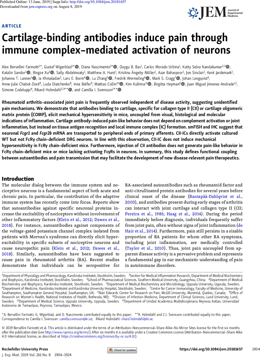Cartilage-binding antibodies induce pain through immune complex-mediated   activation of neurons