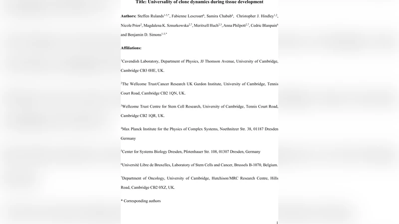 Universality of clone dynamics during tissue development