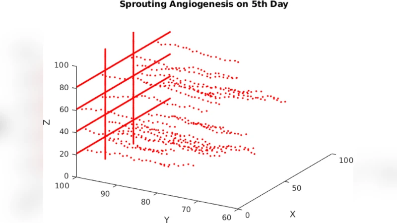 Tumour Induced Angiogenesis and Its Simulation
