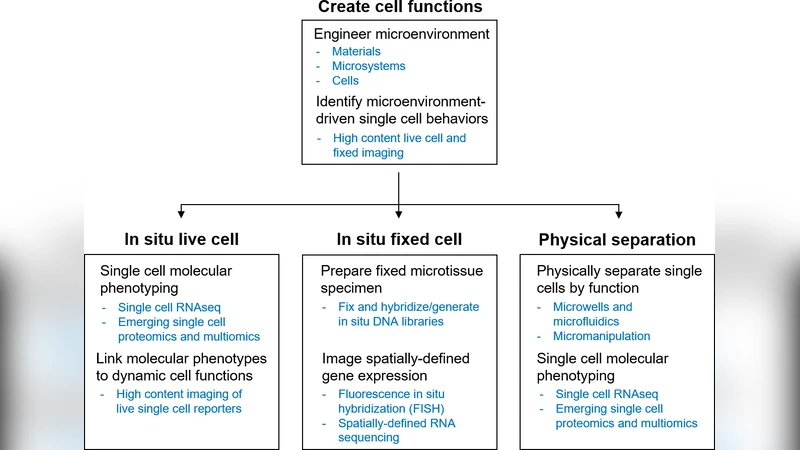 Towards systems tissue engineering: elucidating the dynamics, spatial   coordination, and individual cells driving emergent behaviors