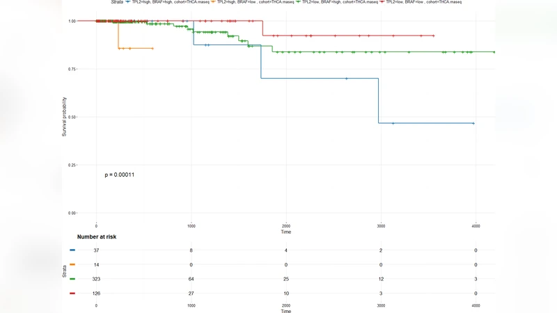 Gene expression and pathway bioinformatics analysis detect a potential   predictive value of MAP3K8 in thyroid cancer progression