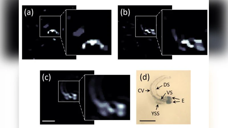 Coding the Beams: Improving Beamforming Training in mmWave Communication   System