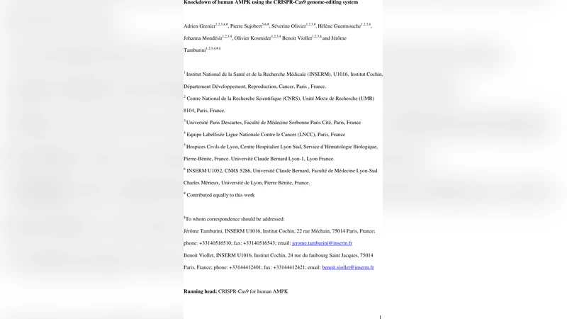 Knockdown of human AMPK using the CRISPR-Cas9 genome-editing system