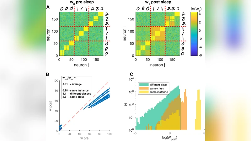 Sleep-like slow oscillations improve visual classification through   synaptic homeostasis and memory association in a thalamo-cortical model