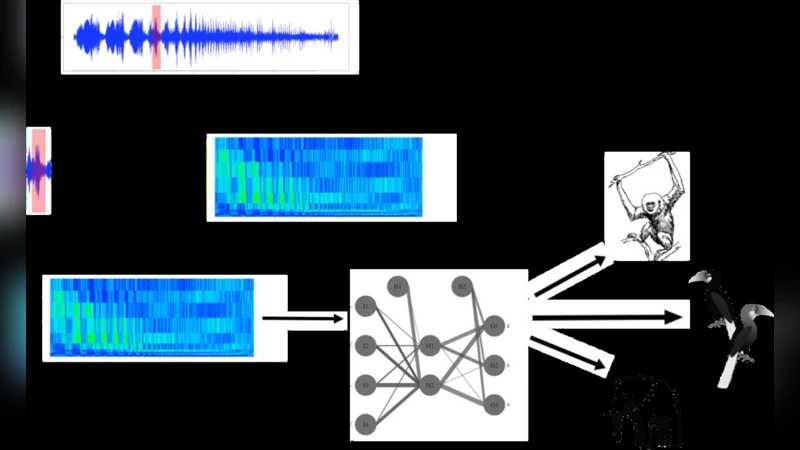 GIBBONFINDR: An R package for the detection and classification of   acoustic signals