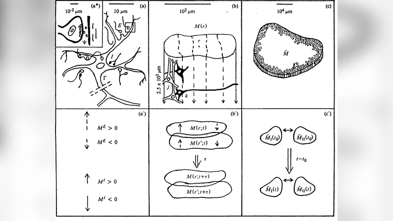 Quantum calcium-ion interactions with EEG