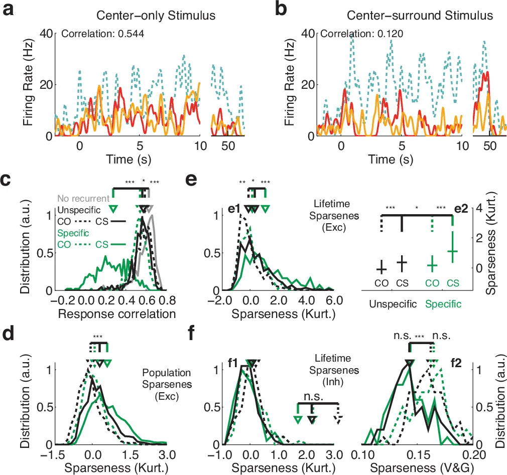 Surround suppression explained by long-range recruitment of local   competition, in a columnar V1 model