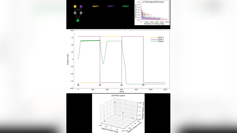 Modeling somatic computation with non-neural bioelectric networks
