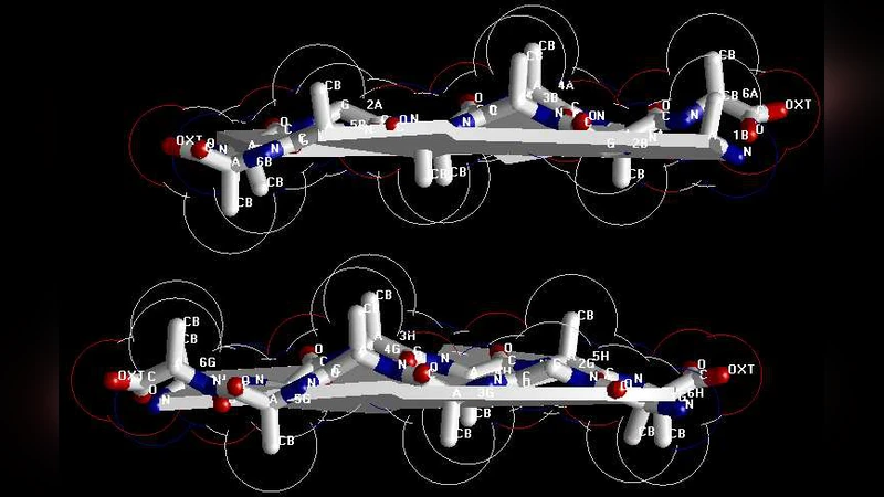 An optimization strategy on prion AGAAAAGA amyloid fibril molecular   modeling