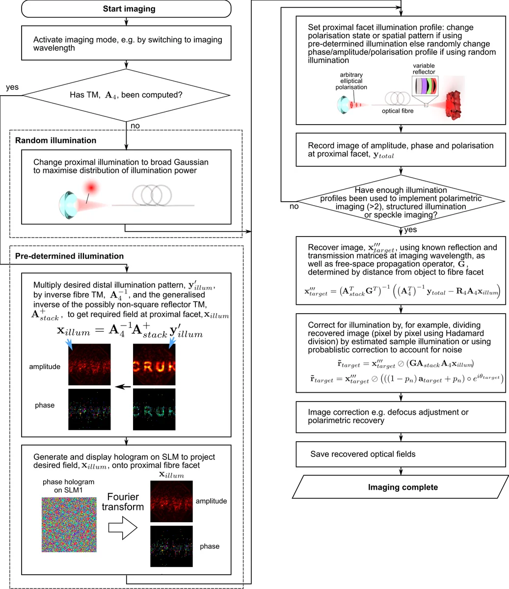 X-Rays from Supernova Shocks in Dense Mass Loss