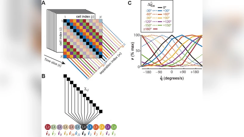 An uncertainty principle for neural coding: Conjugate representations of   position and velocity are mapped onto firing rates and co-firing rates of   neural spike trains