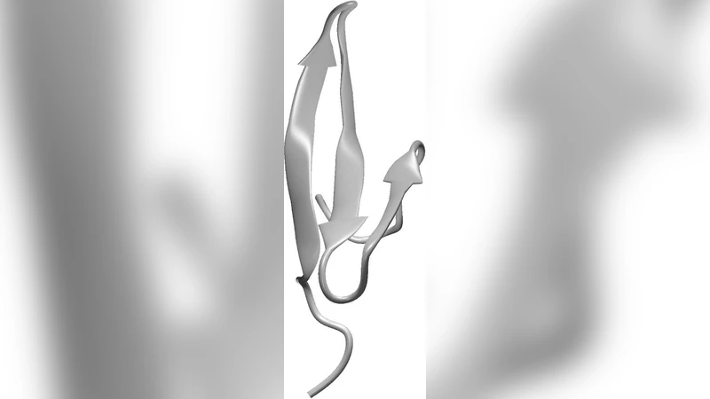 Transition states in protein folding