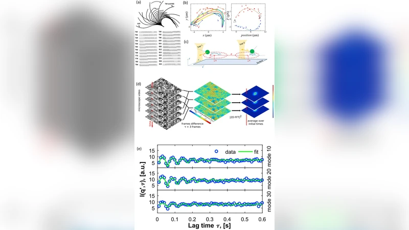 The use of biophysical approaches to understand ciliary beating