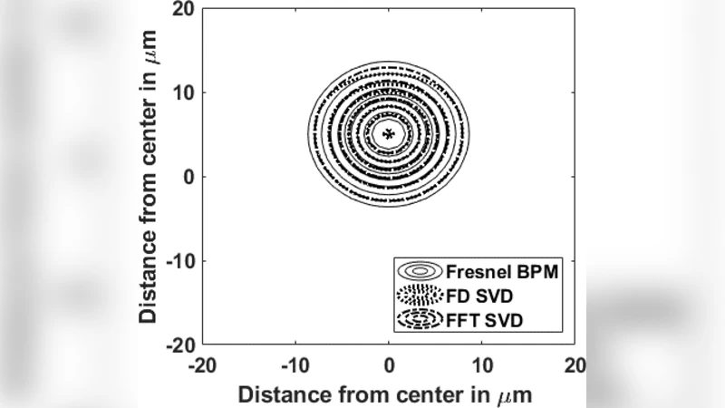 Electric Field Propagation Through Singular Value Decomposition