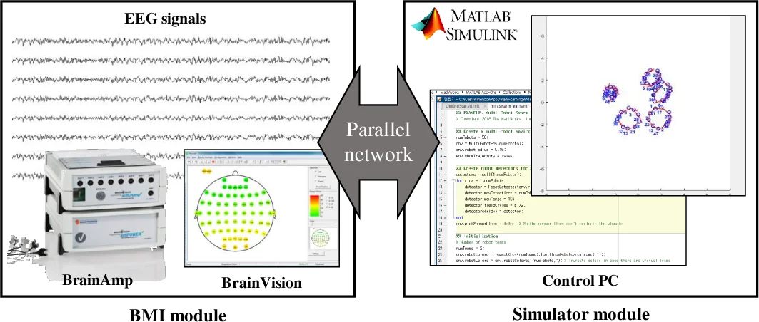 Towards Brain-Computer Interfaces for Drone Swarm Control