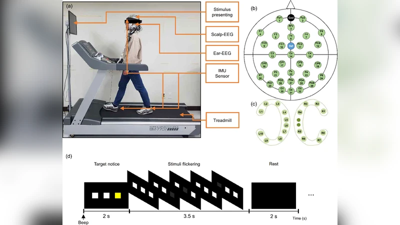 Decoding Visual Responses based on Deep Neural Networks with Ear-EEG   Signals