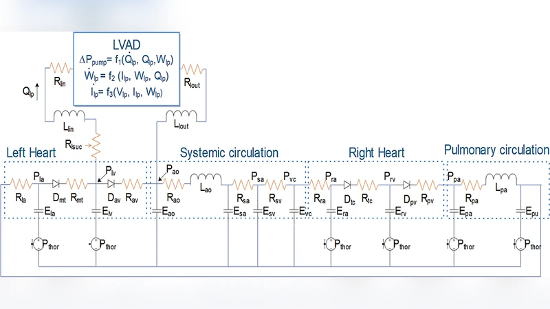 A Physiological Control System for an Implantable Heart Pump that   Accommodates for Interpatient and Intrapatient Variations