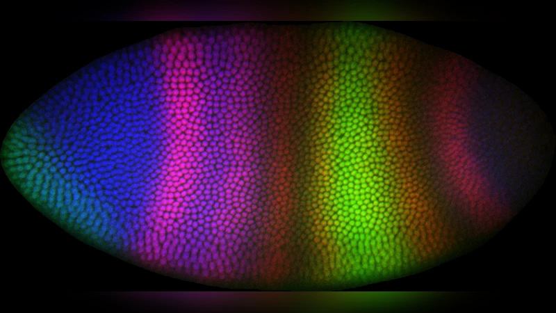 Linear Latent Force Models using Gaussian Processes