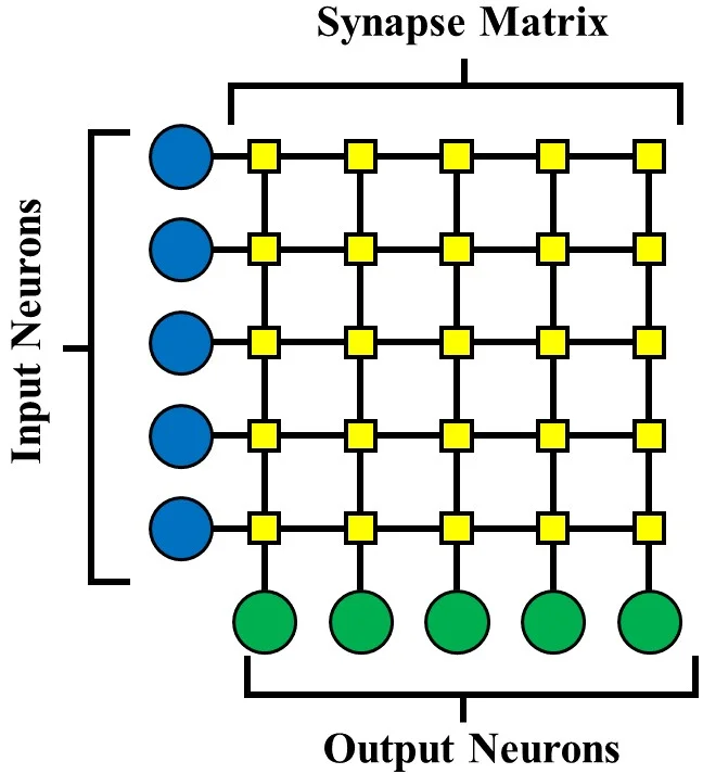 Unsupervised Competitive Hardware Learning Rule for Spintronic Clustering Architecture