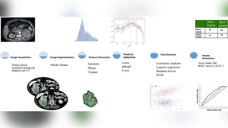 Non-Invasive Fuhrman Grading of Clear Cell Renal Cell Carcinoma Using   Computed Tomography Radiomics Features and Machine Learning