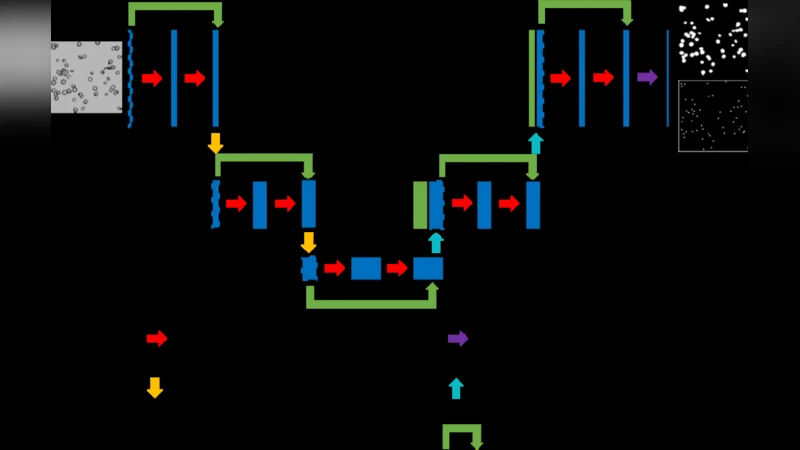 Intrinsic Instability of Coronal Streamers
