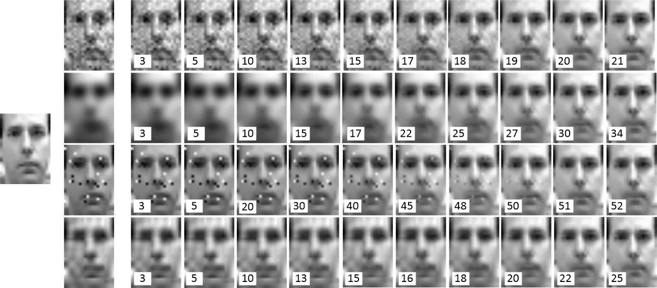 Anomaly Detection and Prototype Selection Using Polyhedron Curvature