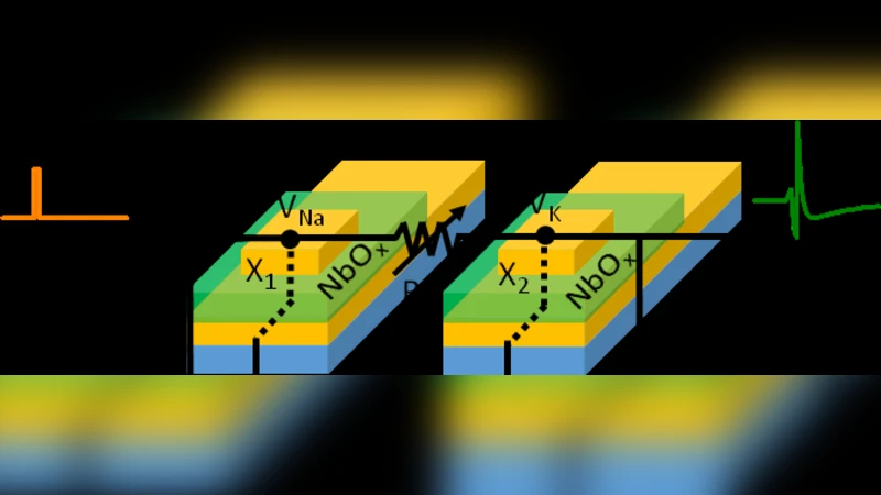 NbO2-based memristive neurons for burst-based perceptron