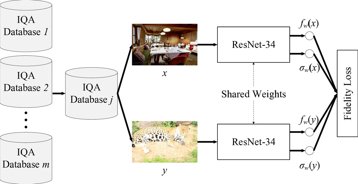 Learning to Blindly Assess Image Quality in the Laboratory and Wild