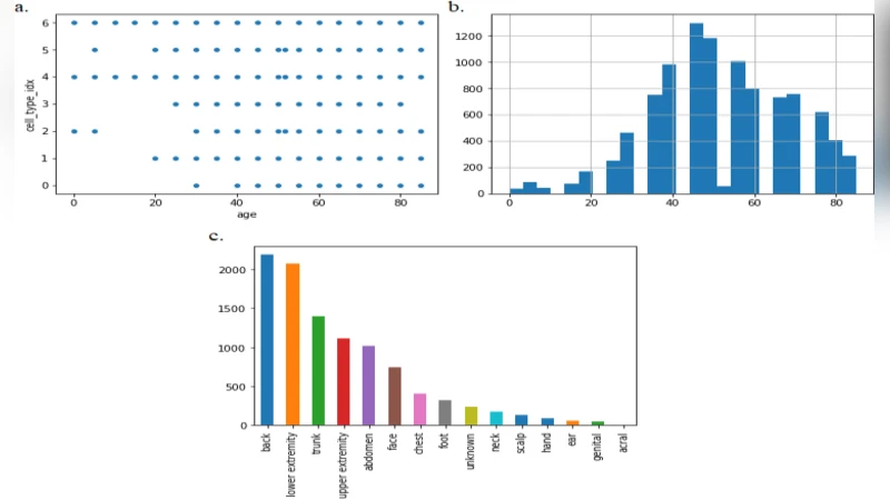 Skin Lesion Analyser: An Efficient Seven-Way Multi-Class Skin Cancer   Classification Using MobileNet