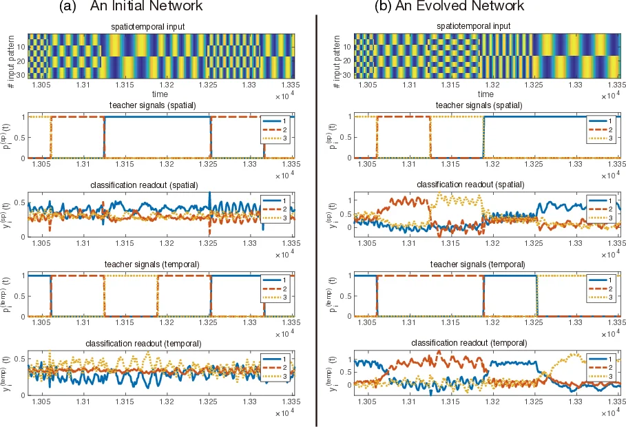 Functional differentiations in evolutionary reservoir computing networks