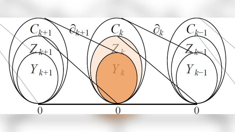 Totally Homogeneous Networks