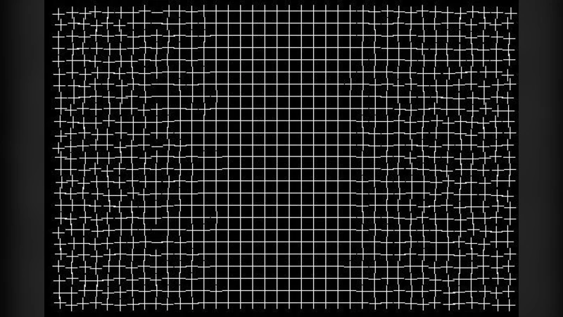 Towards a Science of Mind