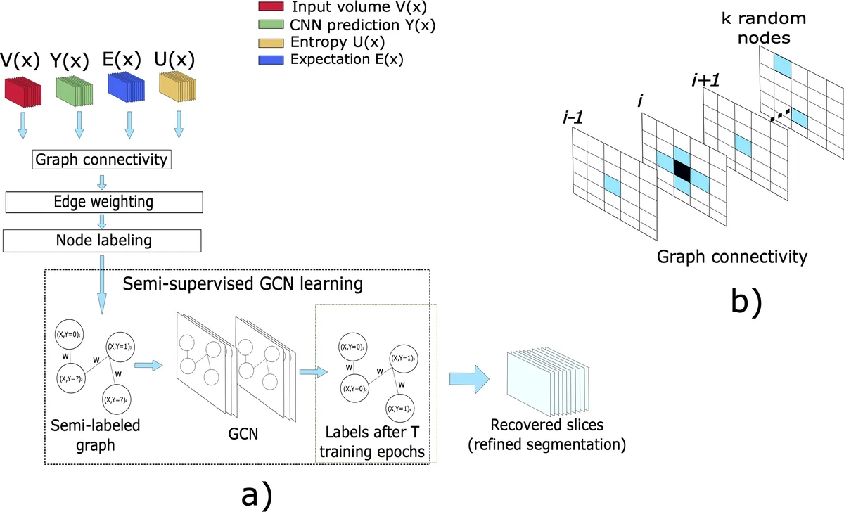 Uncertainty-based graph convolutional networks for organ segmentation   refinement