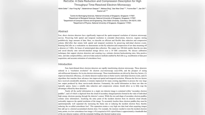 ReCoDe: A Data Reduction and Compression Description for High Throughput   Time-Resolved Electron Microscopy