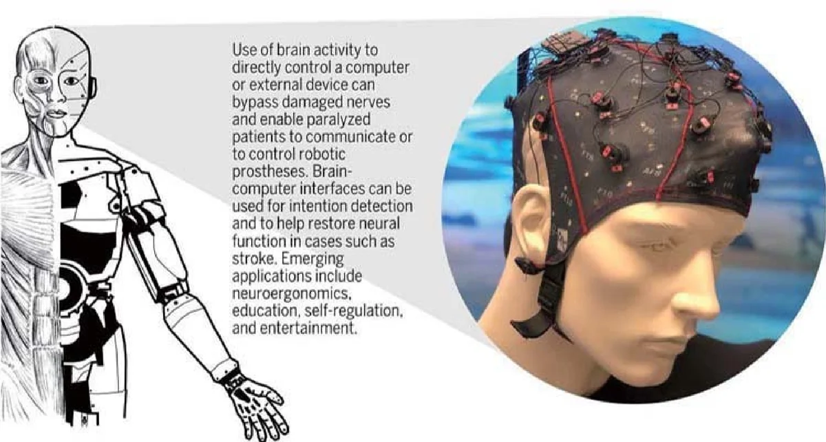 Randomized algorithms for matrices and data
