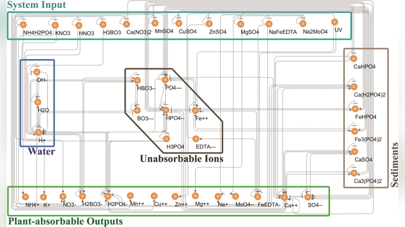 ODE network model for nonlinear and complex agricultural nutrient   solution system