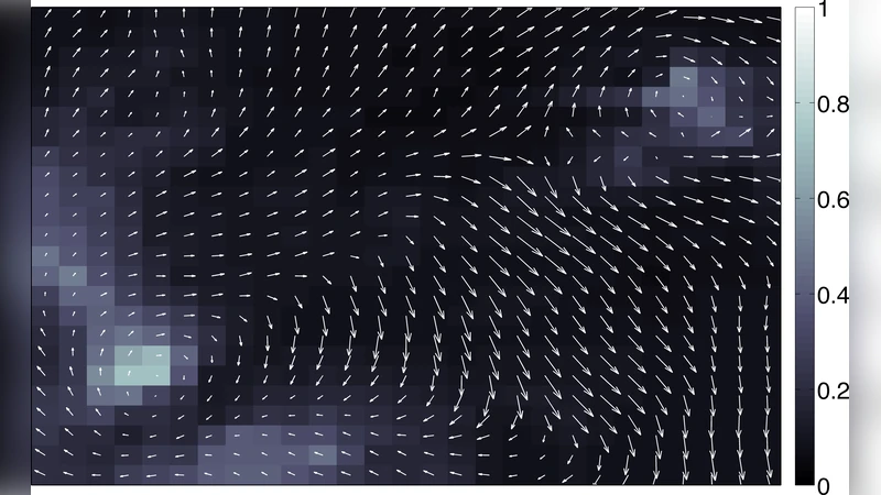 Kernels on Sample Sets via Nonparametric Divergence Estimates