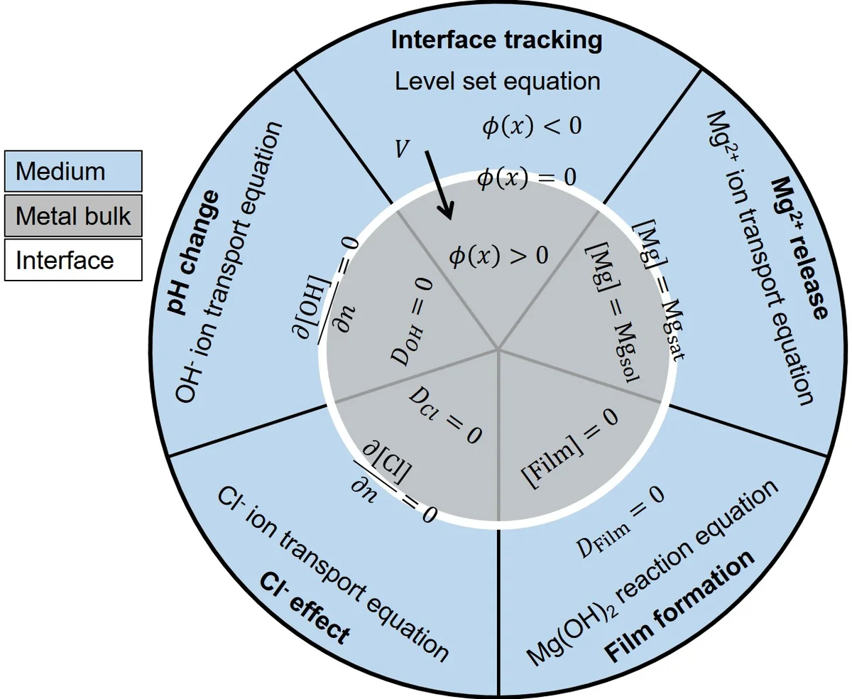 Computational modeling of degradation process of biodegradable magnesium biomaterials