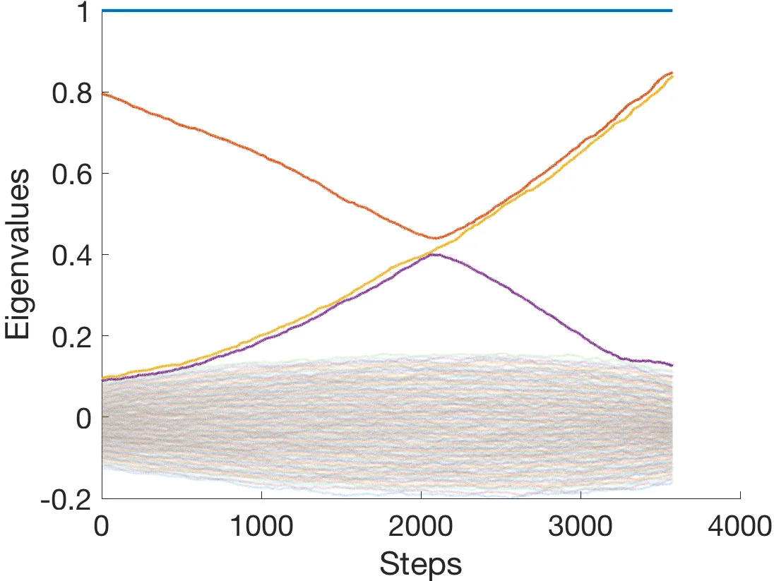 Network interpolation