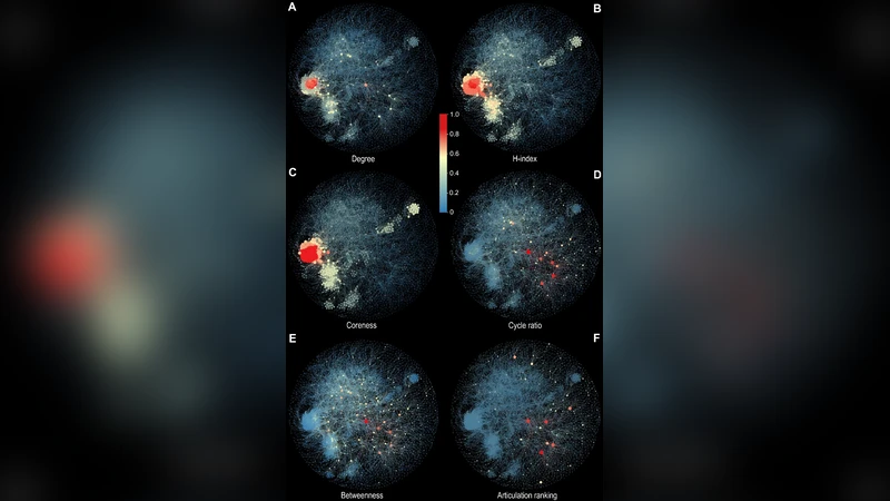 Characterizing cycle structure in complex networks