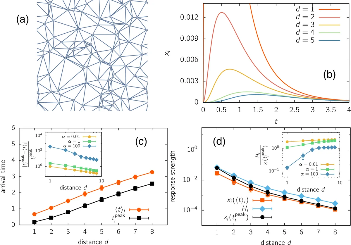 Quantifying Transient Spreading Dynamics on Networks