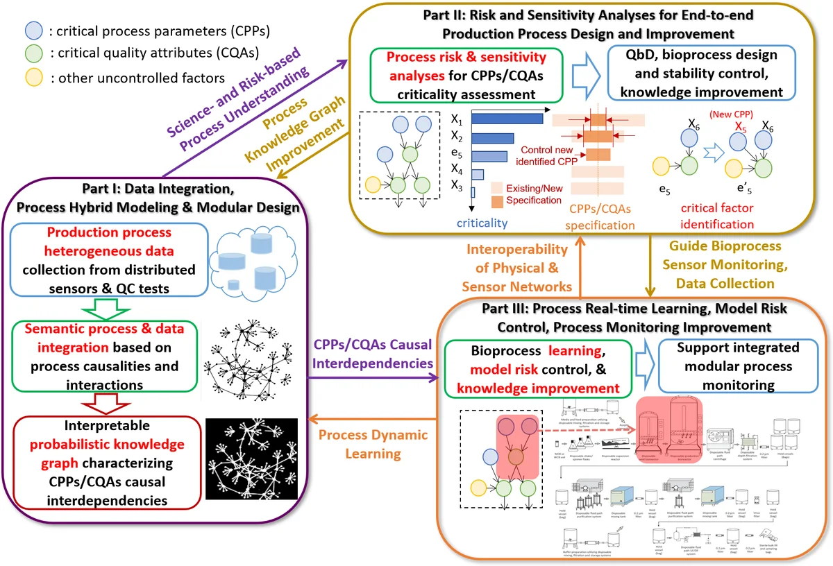 Interpretable Biomanufacturing Process Risk and Sensitivity Analyses for   Quality-by-Design and Stability Control