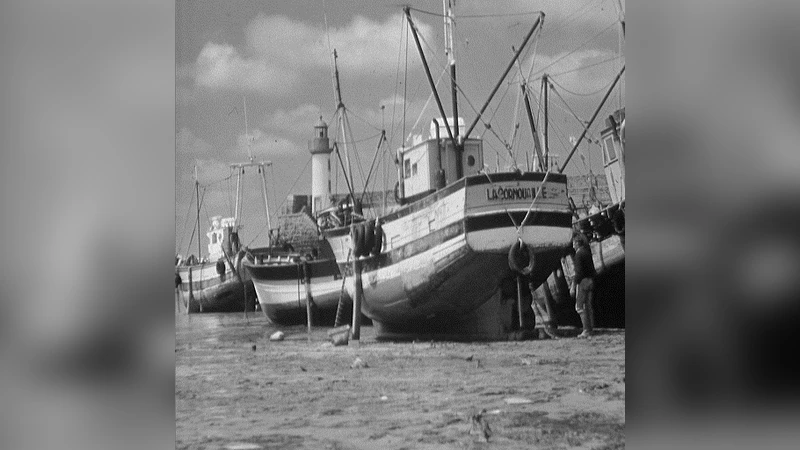 Cryptanalysis of a Chaos-Based Fast Image Encryption Algorithm for   Embedded Systems